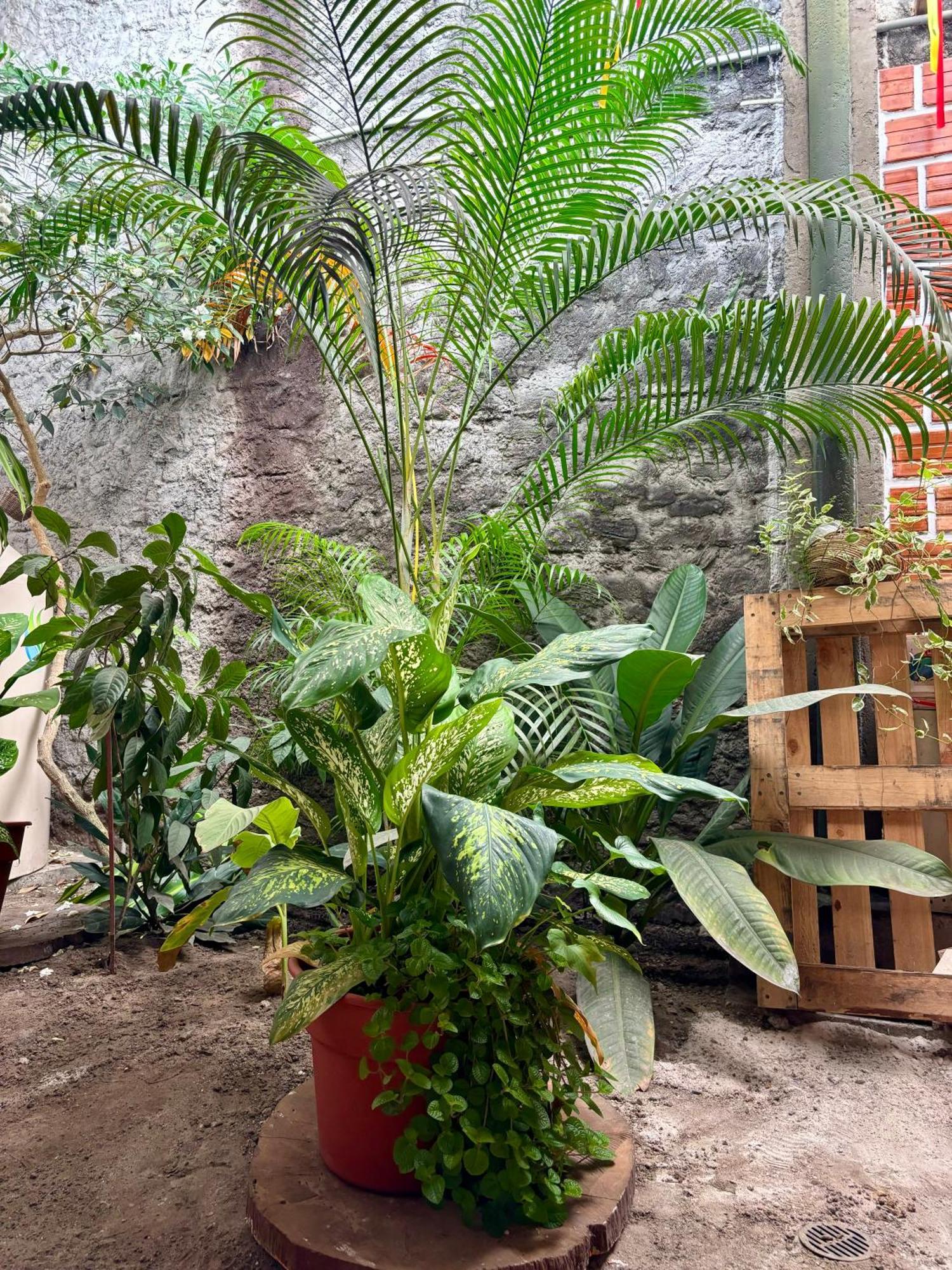 Hospedaje Casa Amazonica Iquitos Exterior photo