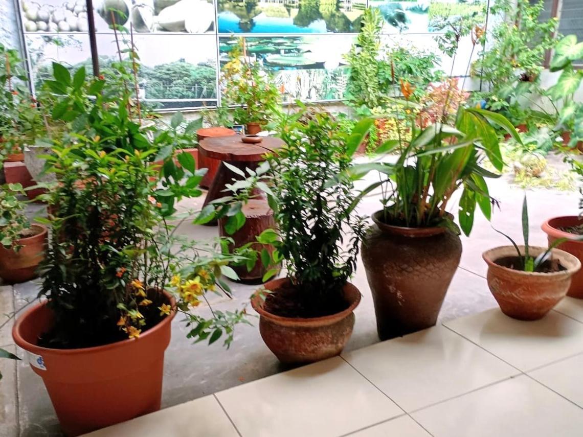 Hospedaje Casa Amazonica Iquitos Exterior photo